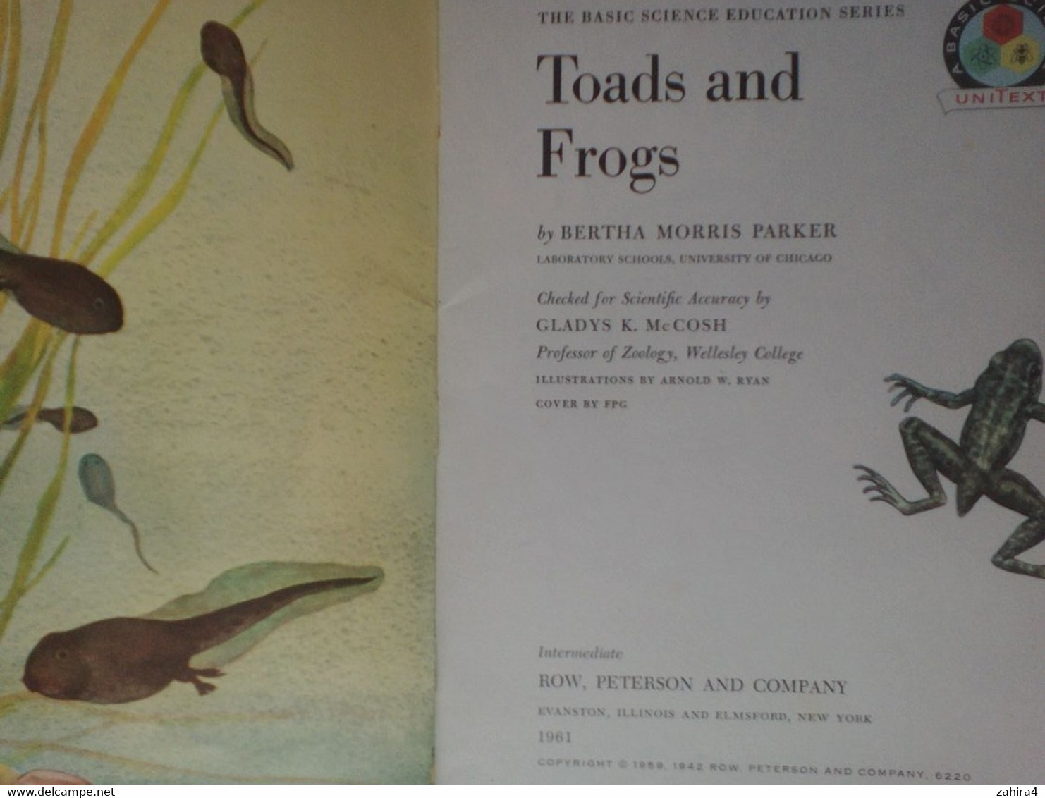 USA Toads Frogs Grenouilles Basic Science Education Series Bertha Morris Parker Plus De 35 Illustrations Arnold W. Ryan - Fauna