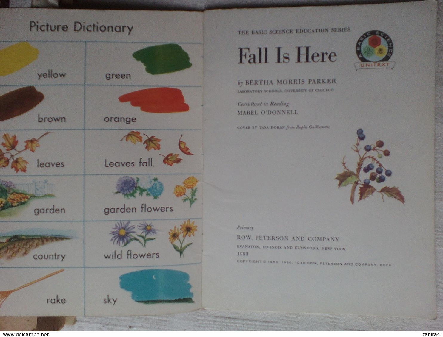 USA Fall Is Here Basic Science Education Series Bertha Morris Parker Mabel O'Donnell Plus Superbes Illustrations Enfants - Vie Sauvage
