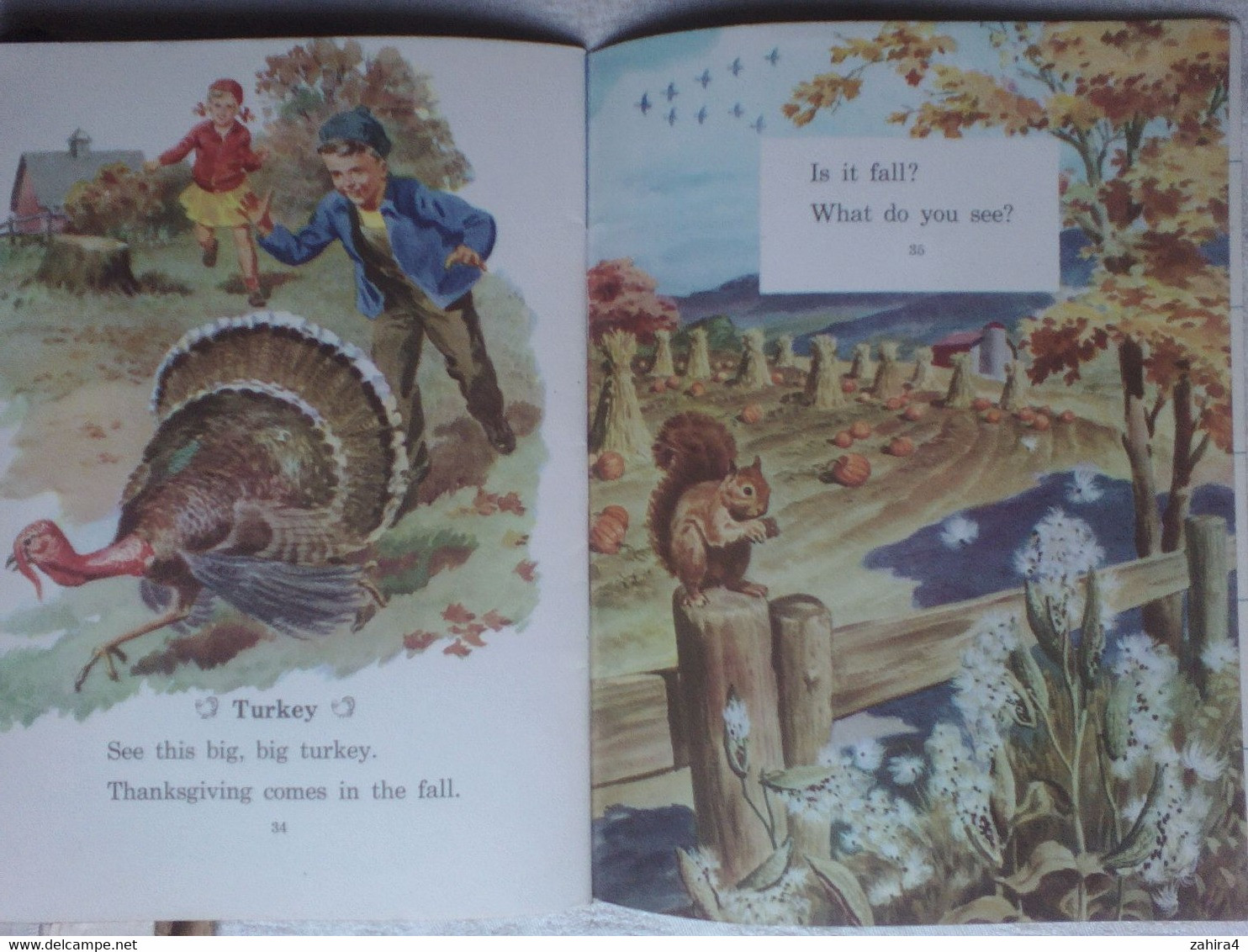 USA Fall Is Here Basic Science Education Series Bertha Morris Parker Mabel O'Donnell Plus Superbes Illustrations Enfants - Vie Sauvage
