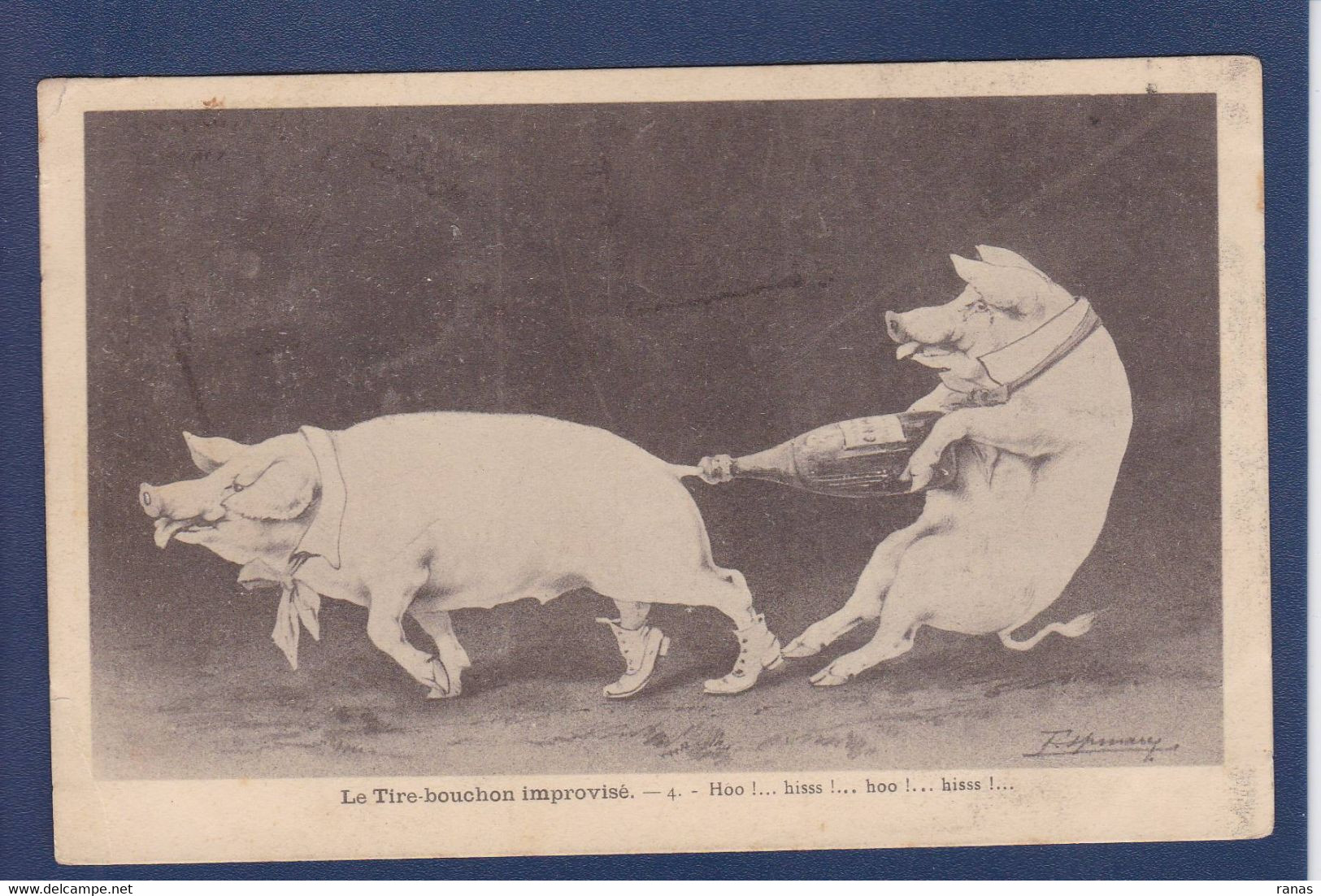 CPA Cochon Pig Caricature Satirique Circulé Surréalisme Position Humaine Tire Bouchon - Pigs