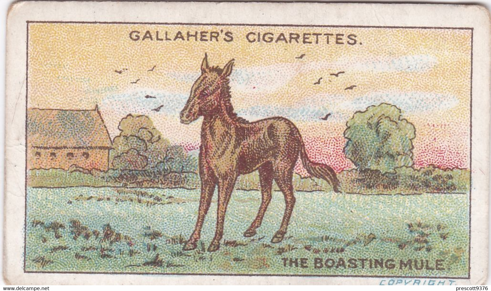 70 The Boasting Mule, Fables & Their Morals 1922  - Gallaher Cigarette Card - Original - Antique - Gallaher