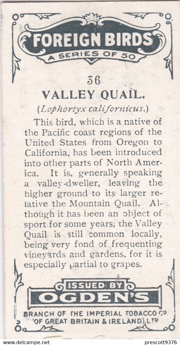 36 Valley Quail - Foreign Birds 1924 - Ogdens  Cigarette Card - Original - Wildlife - Ogden's