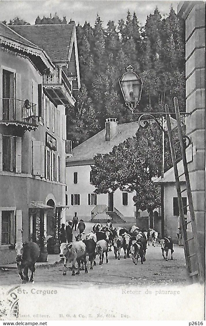 SUISSE -  ST. CERGUES -  1906 -  RETOUR DU PATURAGE - Saint-Cergue