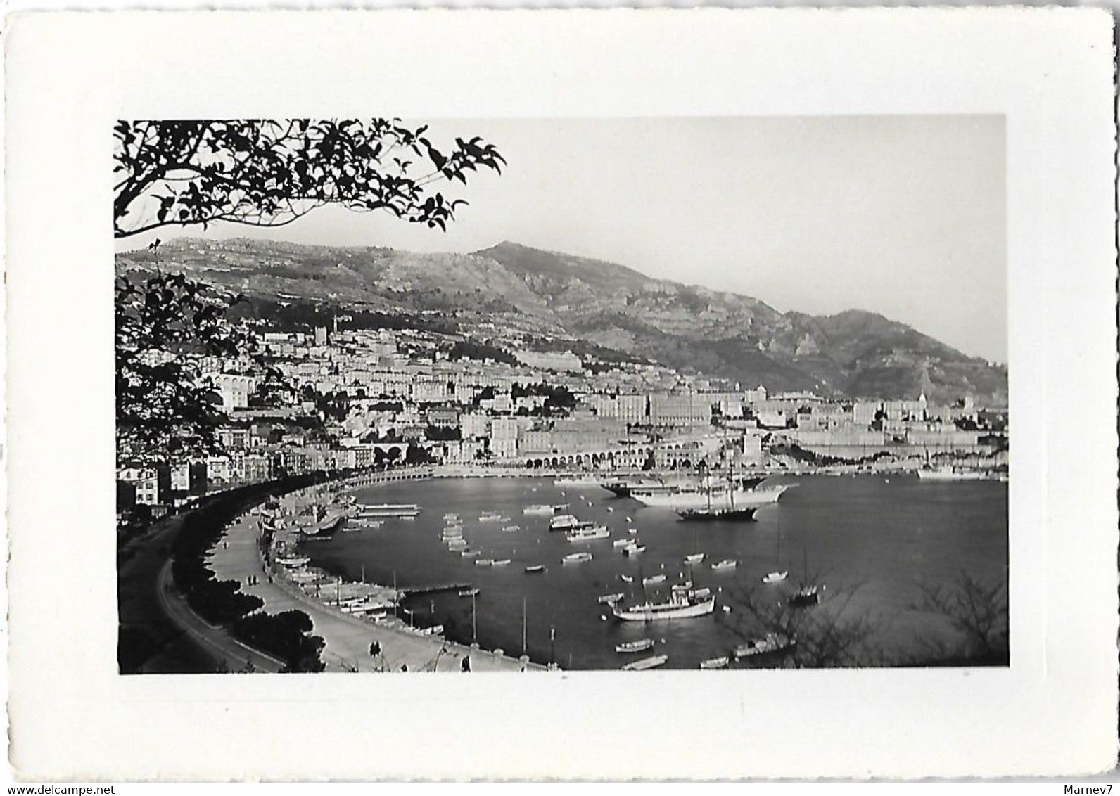 MONACO - Carte Photo Glacée - Principauté De - Le Port Et La Condamine - Edition: Palais De Monaco - Monte Carlo - - Port