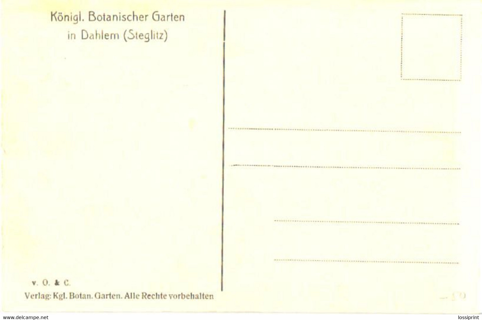 Germany:Berlin, Dahlem Royal Botanic Garden, Cactus House, Pre 1940 - Steglitz