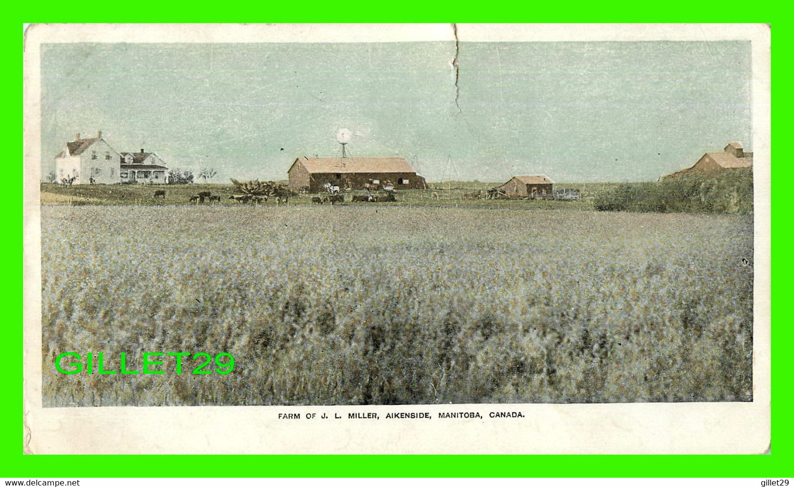 AIKENSIDE, MANITOBA - FARM OF J. L. MILLER - FARMS IN WESTERN CANADA - ÉCRITE - - Sonstige & Ohne Zuordnung