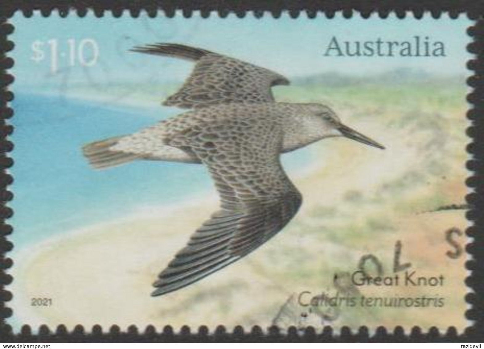 AUSTRALIA - USED 2021 $1.10 Migratory Shorebirds - Great Knot - Used Stamps