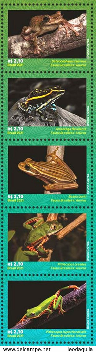 BRAZIL 2021 - FROGS - ANUROS -  TAILLESS AMPHIBIANS -  BRAZILIAN FAUNA  PRESERVATION - VERTICAL STRIP 5v  MINT - Unused Stamps