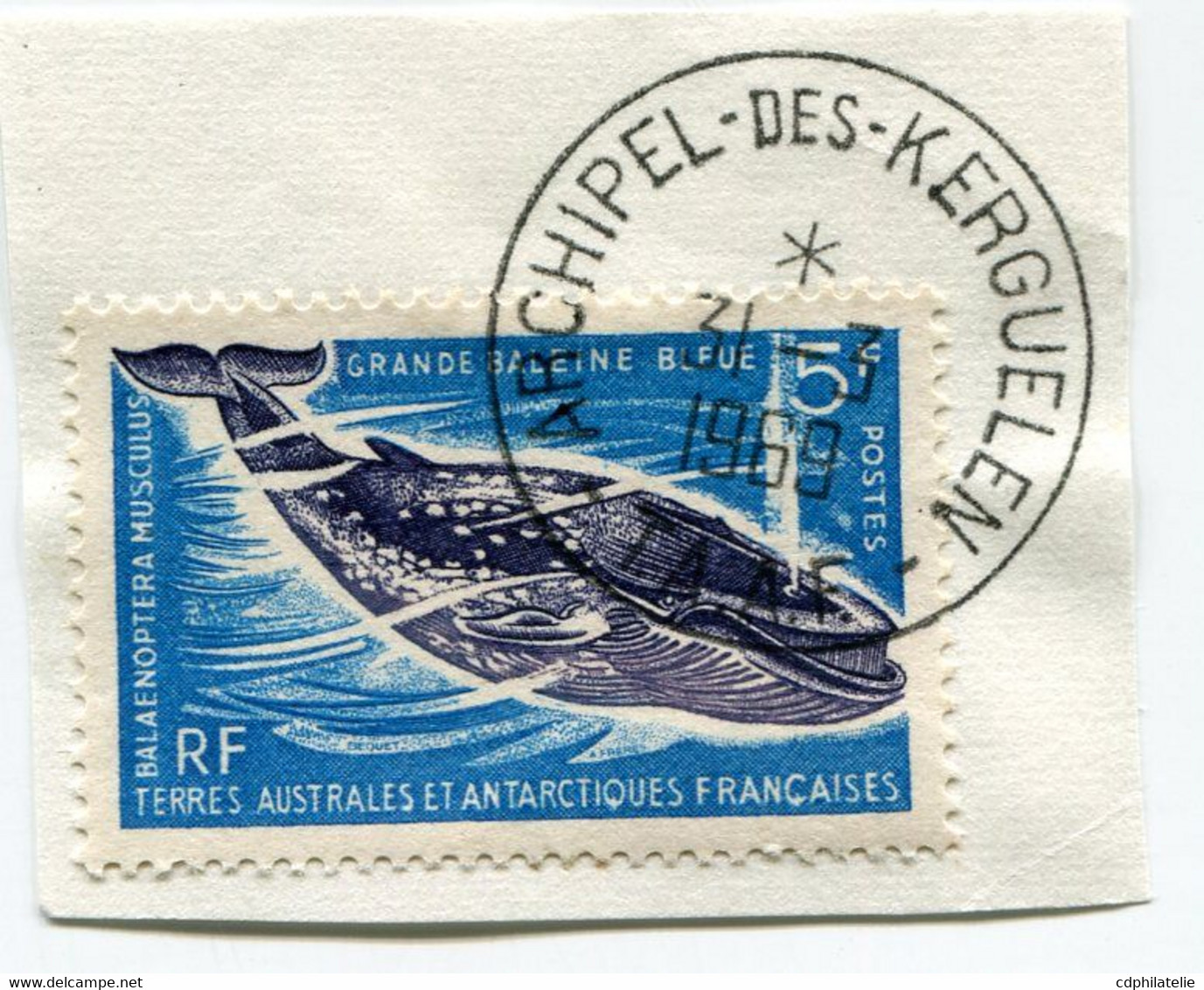 T. A. A. F. N°22 GRANDE BALEINE BLEUE OBL. ARCHIPEL-DES-KERGUELEN 31-3-1969 - Gebruikt