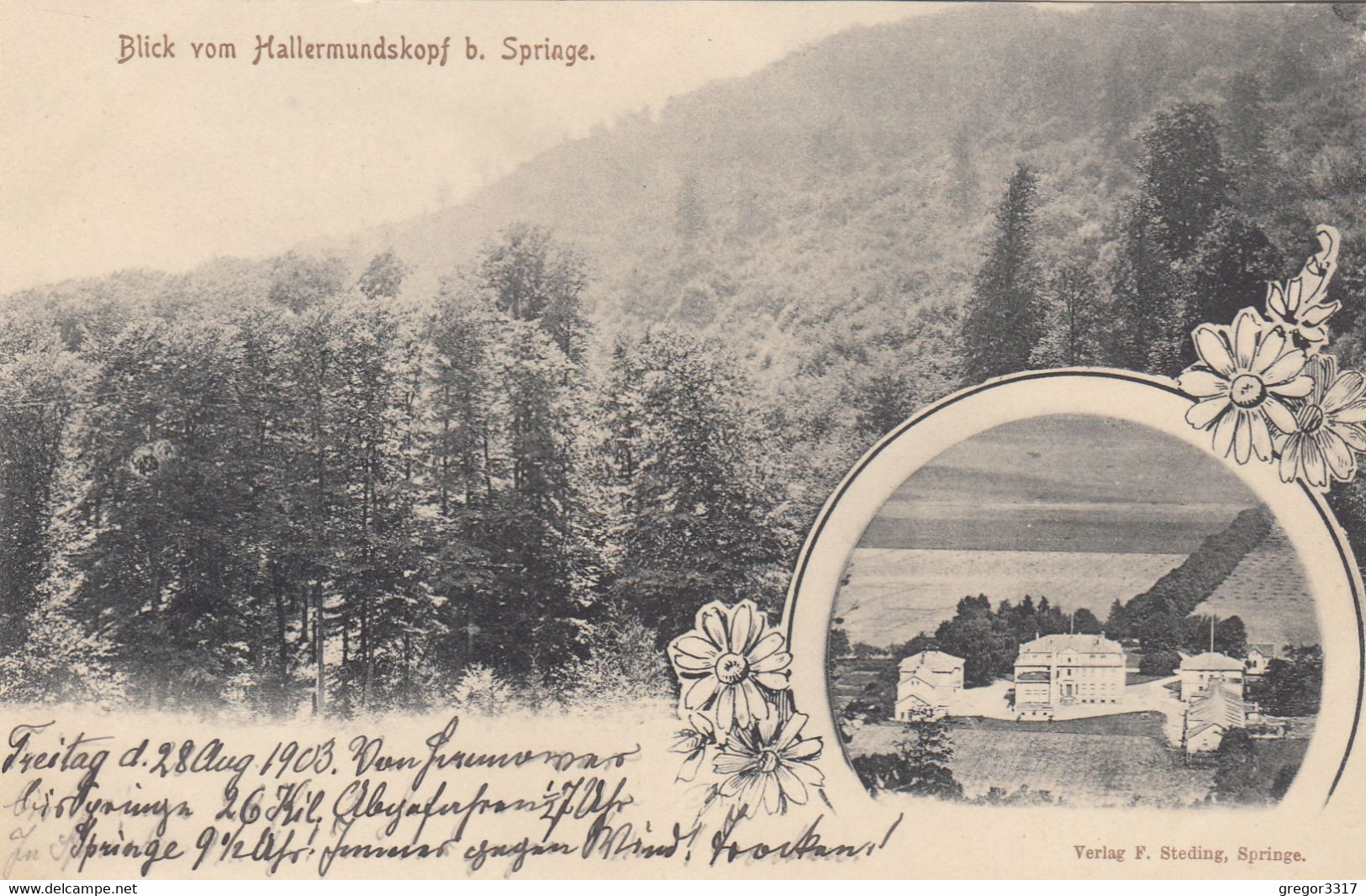 9813) Blick Vom HALLERMUNDSKOPF B. SPRINGE - Tolle Alte ZWEIBILD AK M. HAUS - 1903 - Springe
