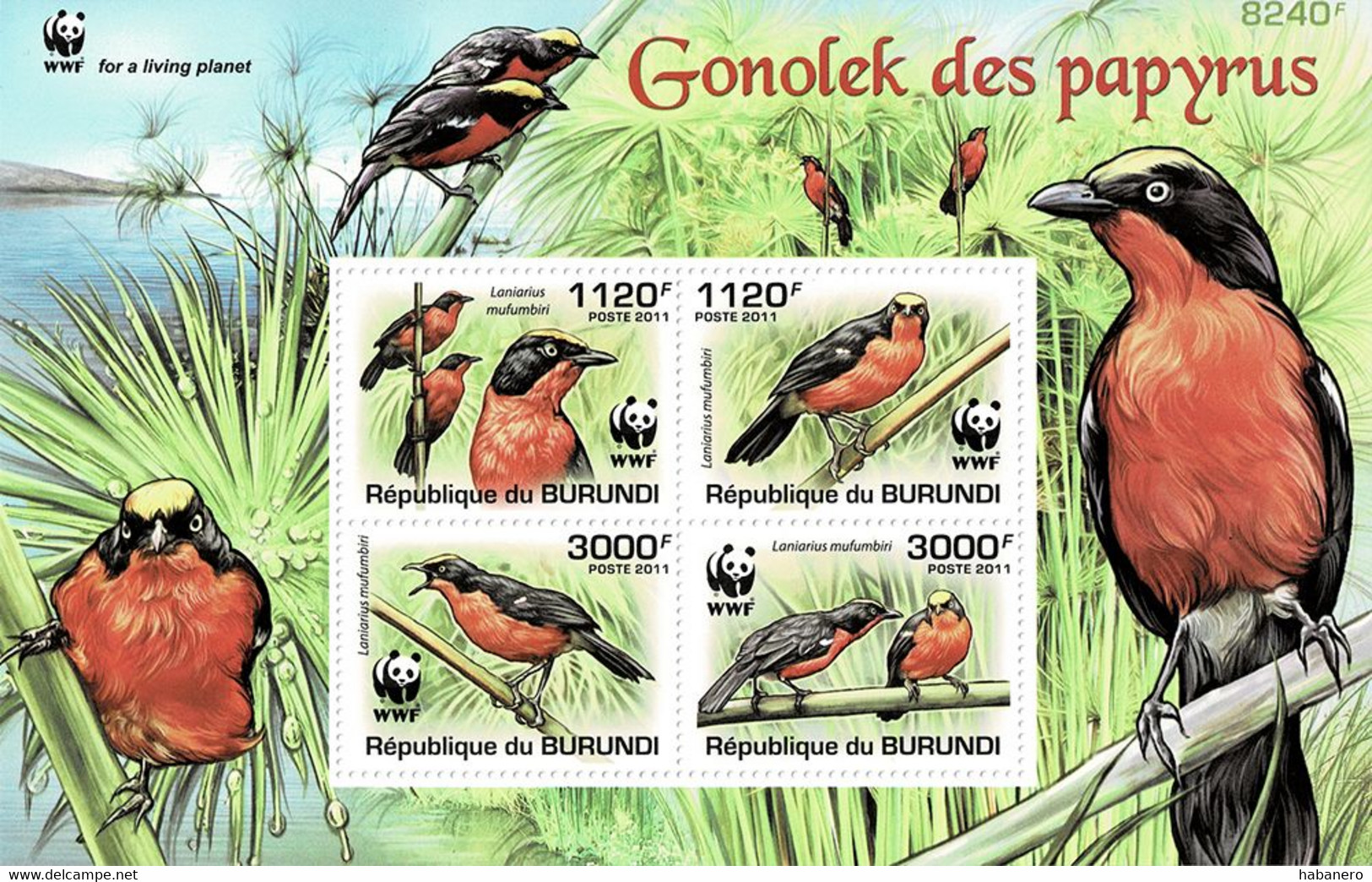 BURUNDI 2011 Mi BL 170a WWF SONGBIRDS MINT STAMPS ** - Blocchi & Foglietti