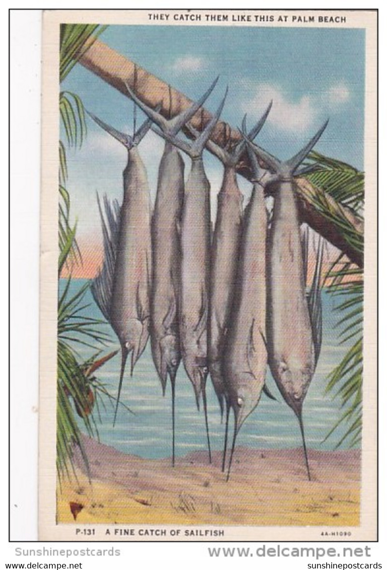 Florida Palm Beach A Fine Catch Of Sailfish 1940 Curteich - Palm Beach