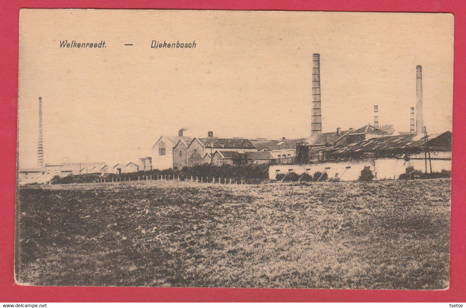 Welkenraedt - Diekenbosch ... Usine ( Voir Verso ) - Welkenraedt