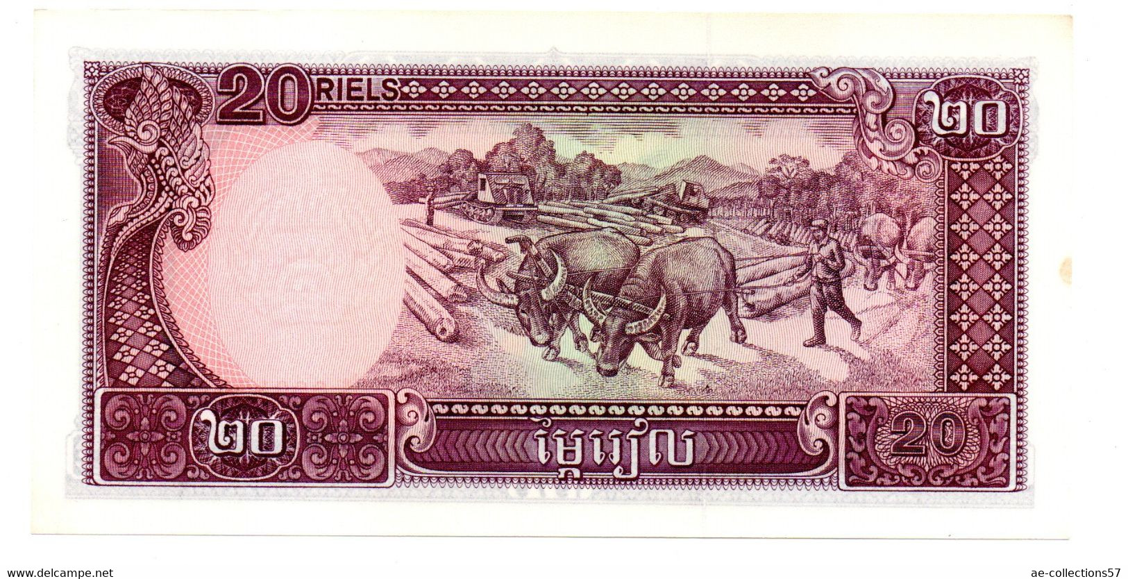 Cambodge  -  20 Riel 1979  - état  UNC - Cambodja