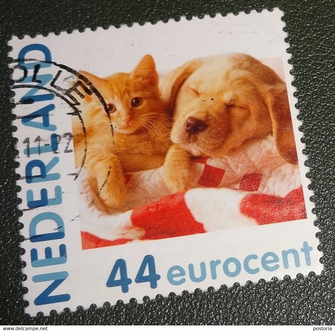 Nederland - NVPH - Persoonlijke Gebruikt - Hallmark - Kat - Poes En Hond - Timbres Personnalisés