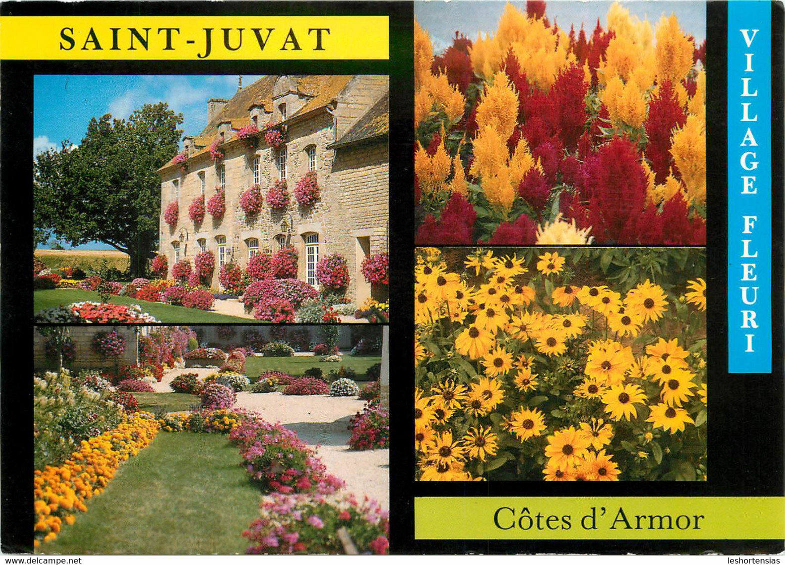 SAINT JUVAT MULTIVUES - Saint-Juvat