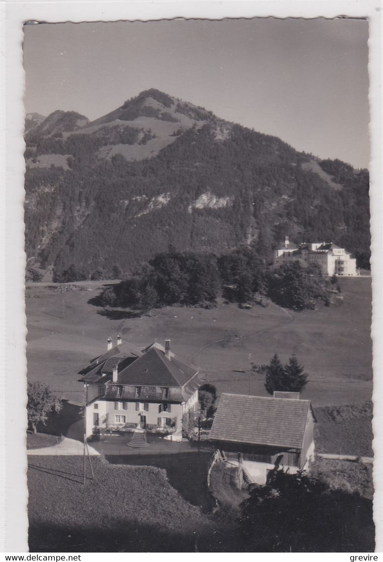 Les Sciernes D'Albeuve, "Le Chalet". Carte-photo - Albeuve