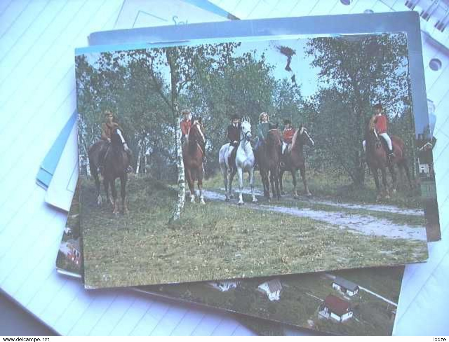 Nederland Holland Pays Bas Schiermonnikoog Met Paarden En Ruiters - Schiermonnikoog