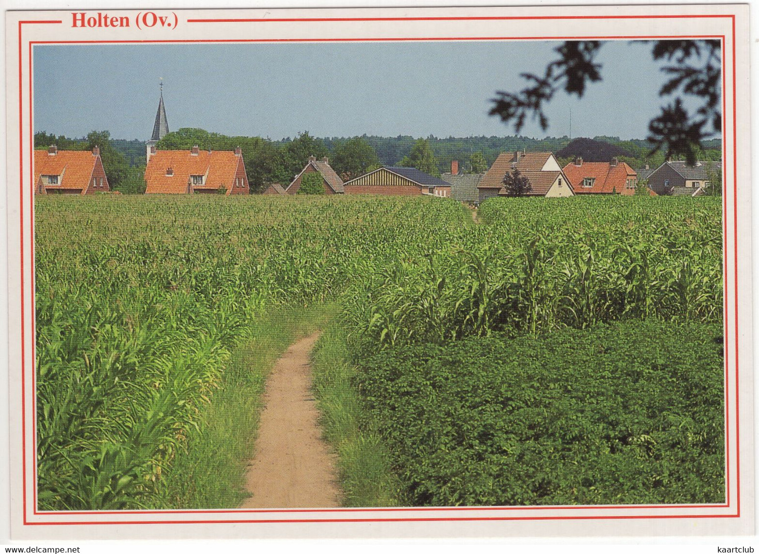 Holten - Zandpad Door De Maisvelden Richting Bebouwing Dorp - (Ov., Nederland/Holland) - Holten