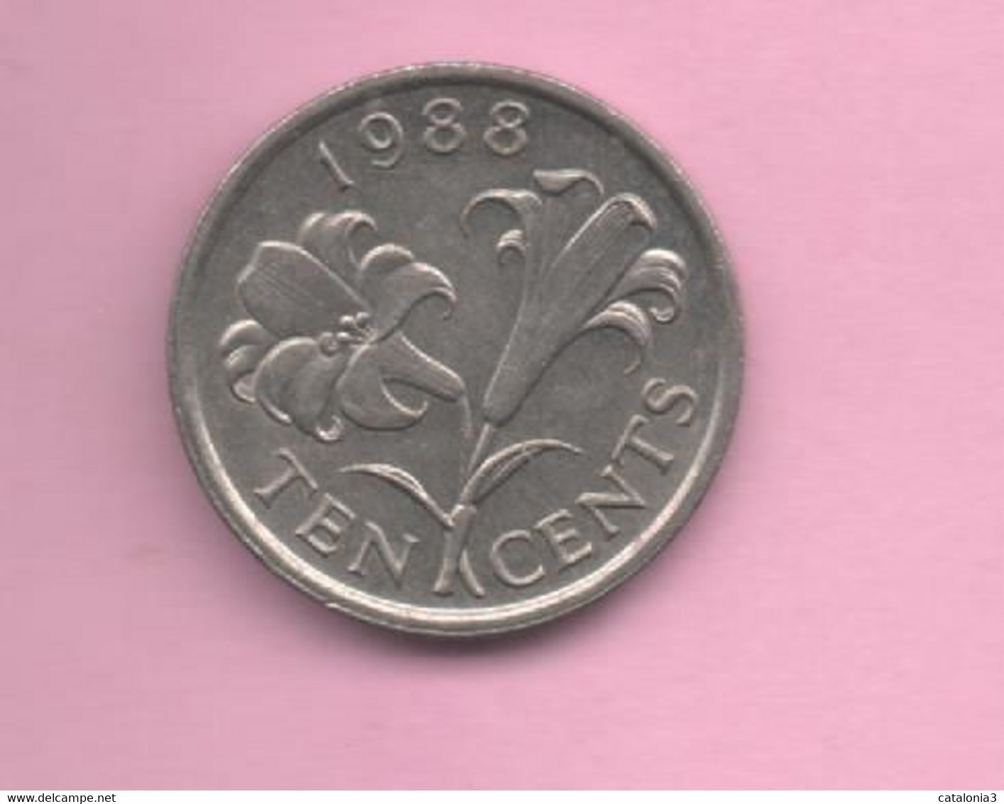 BERMUDAS - 10 CENT 1988 - Bermudes