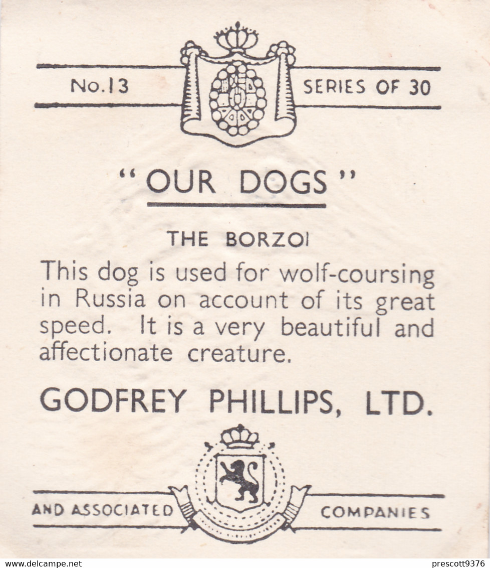 13 The Borzoi    - Our Dogs 1939  -  Phillips Cigarette Card - Original - Pets - Animals - 5x6cm - Phillips / BDV