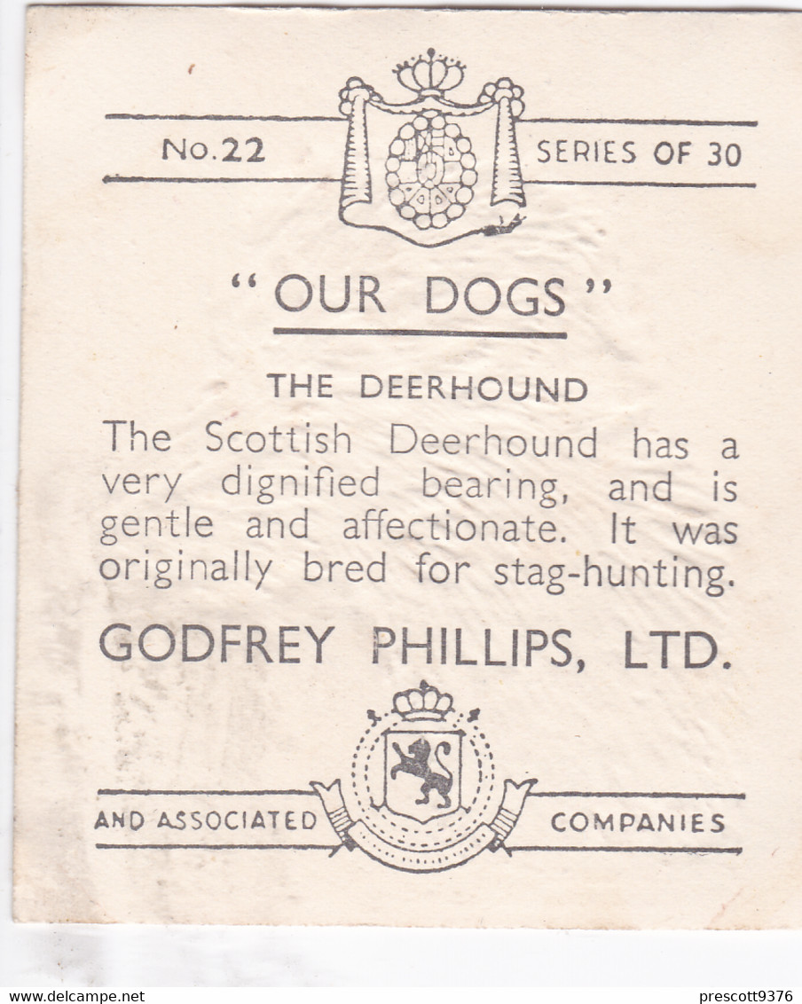 22 The Deerhound  - Our Dogs 1939  -  Phillips Cigarette Card - Original - Pets - Animals - 5x6cm - Phillips / BDV