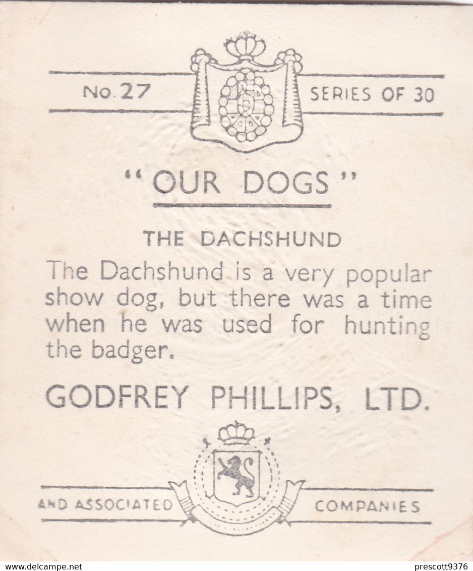 27 Dachshund - Our Dogs 1939  -  Phillips Cigarette Card - Original - Pets - Animals - 5x6cm - Phillips / BDV