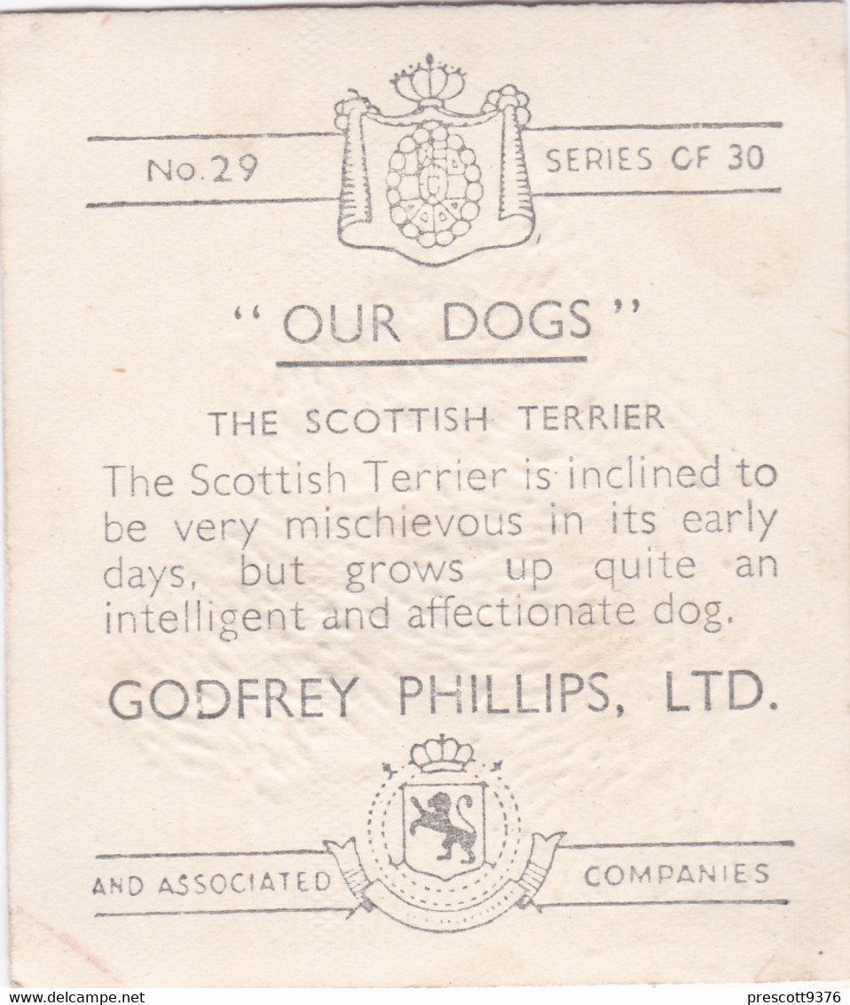 29 Scottish Terrier - Our Dogs 1939  -  Phillips Cigarette Card - Original - Pets - Animals - 5x6cm - Phillips / BDV