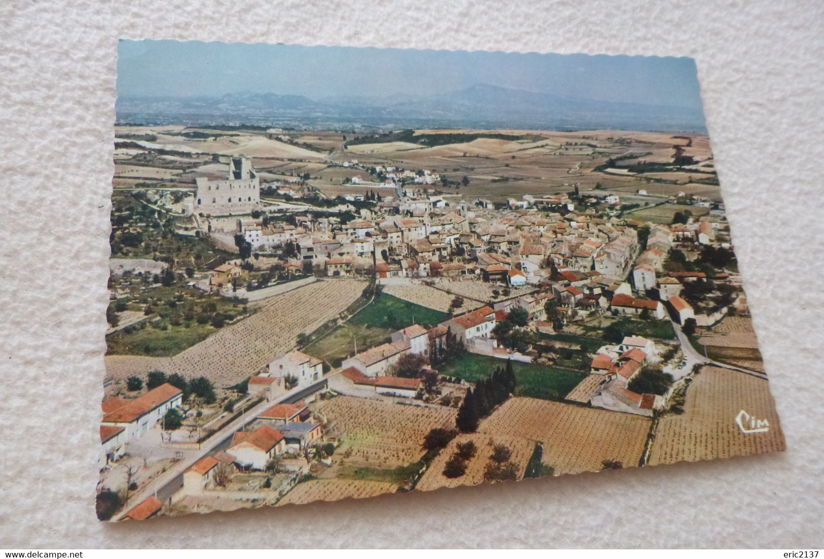 BELLE CARTE ....VUE GENERALE AERIENNE..LE CHATEAU DES PAPES..LES COTEAUX - Chateauneuf Du Pape