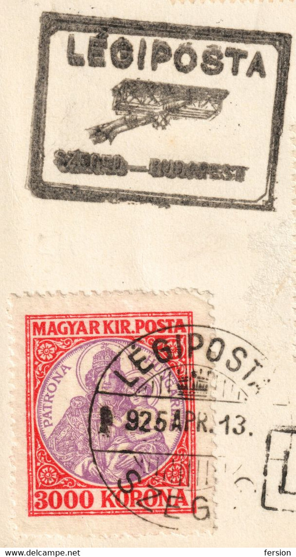 BRIDGE Tisza Shepherd AERO SZEGED Airplane Biplane Hungary Icarus 1925 Par Avion Air Mail LABEL CINDERELLA VIGNETTE - Storia Postale