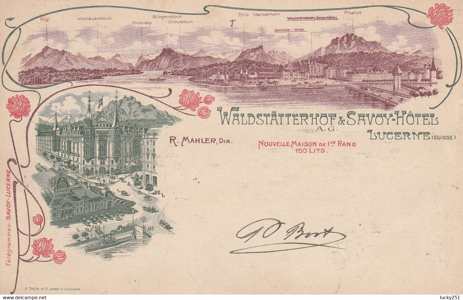 Suisse - Hôtel - Lucerne - Waldstätterhof & Savoy Hôtel - Circulée 12/09/1904 - Litho - Wald