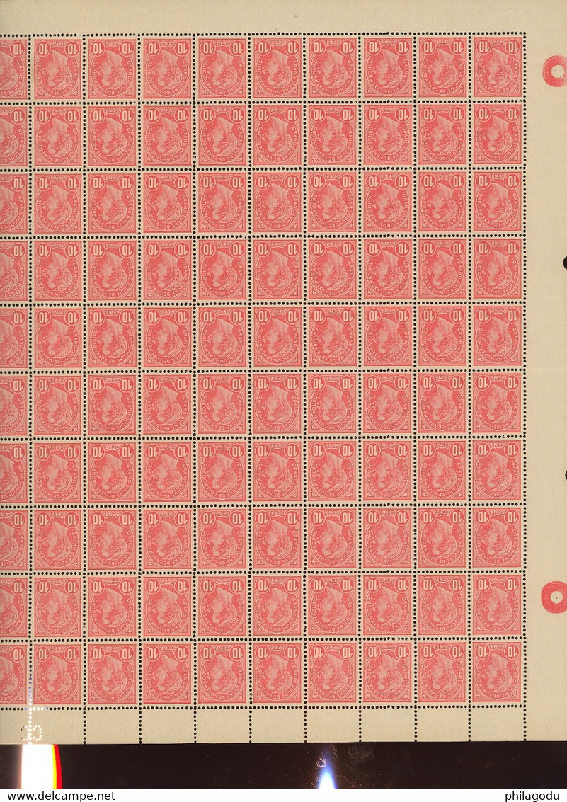 1895. Grand Duc De Profil  Yv.73. Mi.73 **. Avec Les Trois Variétés. Cote PRIFIX 2007. =. 12850 Euros - Full Sheets