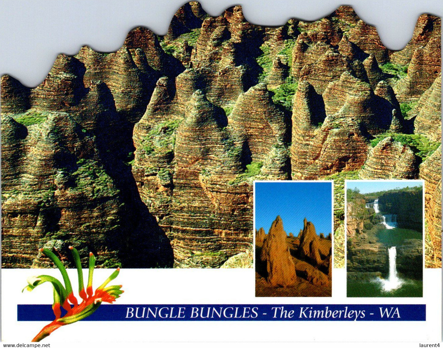 (5 A 11) Australia - WA - Bungle Bungles Kimberley UNESCO (Shape Card) - Other & Unclassified