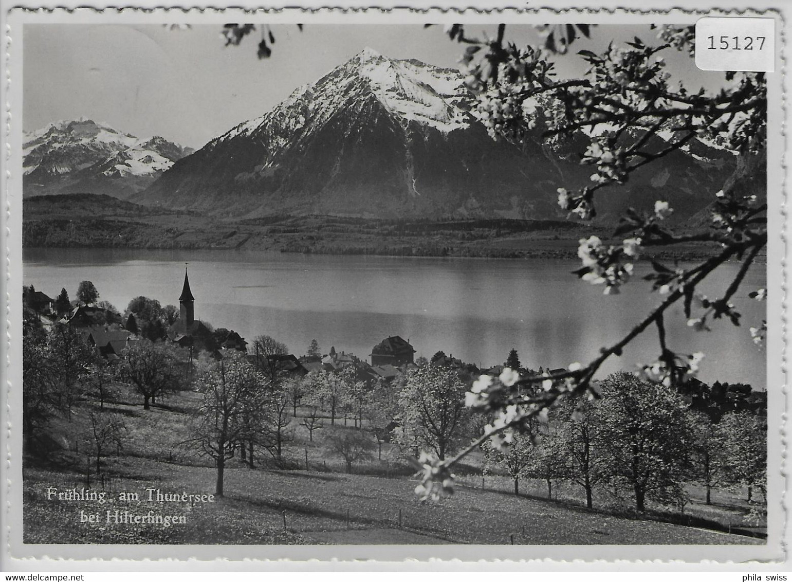 Frühling Am Thunersee Bei Hilterfingen - Hilterfingen