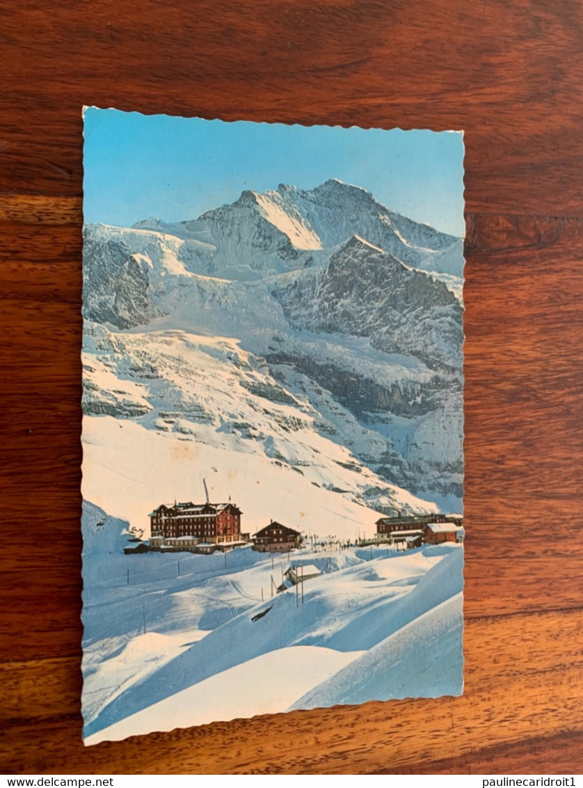 Kleine Scheidegg Jungfrau - Egg