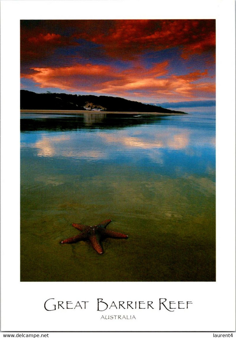 (5 A 24) Australia - QLD - (UNESCO) Island (starfish) - Great Barrier Reef