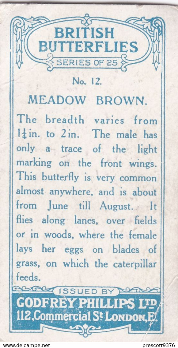 12 Meadow Brown - British Butterflies 1926 -  Phillips Cigarette Card - Original - Phillips / BDV