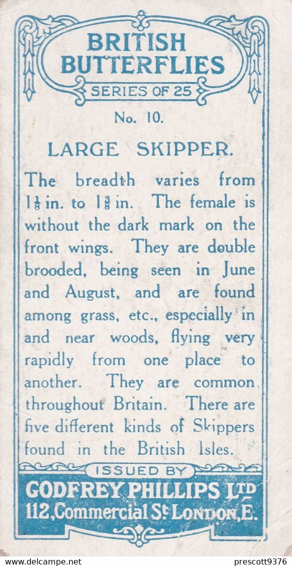 10 Large Skipper - British Butterflies 1926 -  Phillips Cigarette Card - Original - Phillips / BDV