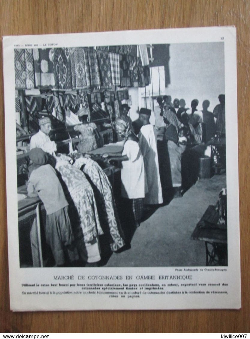 GAMBIE BRITANNIQUE    Le Marché Au Coton   De Cotonnades    Photo   1952  Documentation Scolaire - Gambia