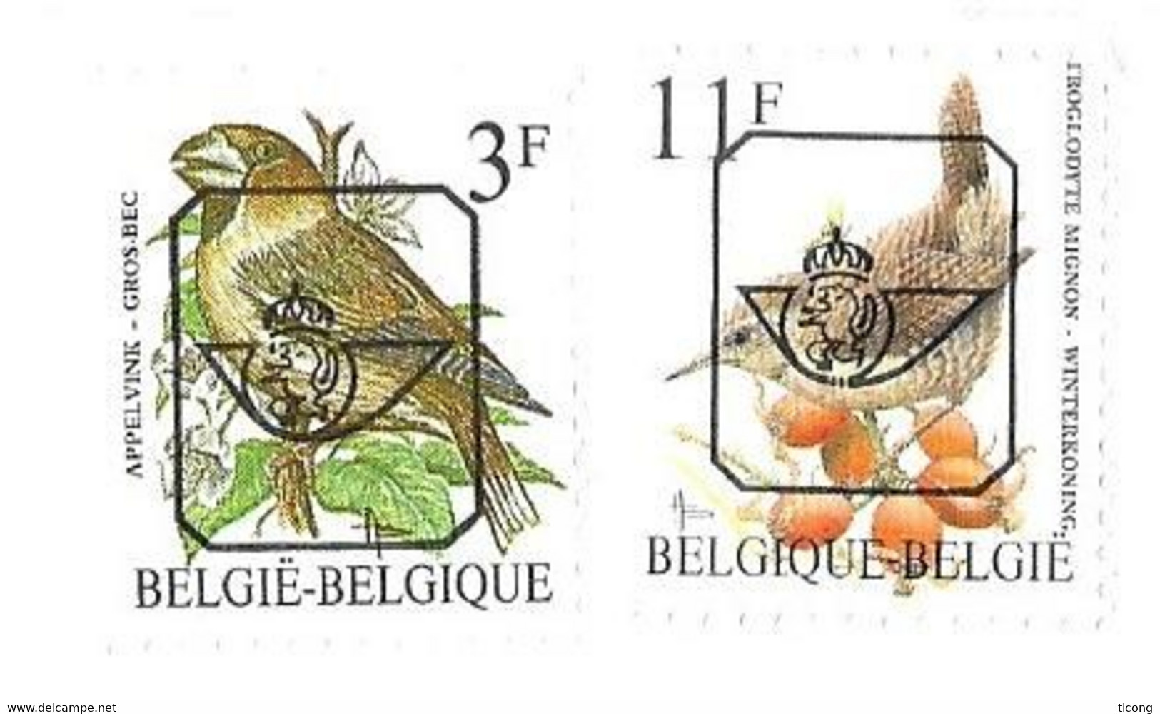 BELGIQUE LETTRE COMMERCIALE ILLUSTREE DE  WEVELGEM, PREOBLITERE OISEAUX TROGLODYTE MIGNON, GROS BEC, PAS COMMUN A VOIR - Typos 1986-96 (Vögel)