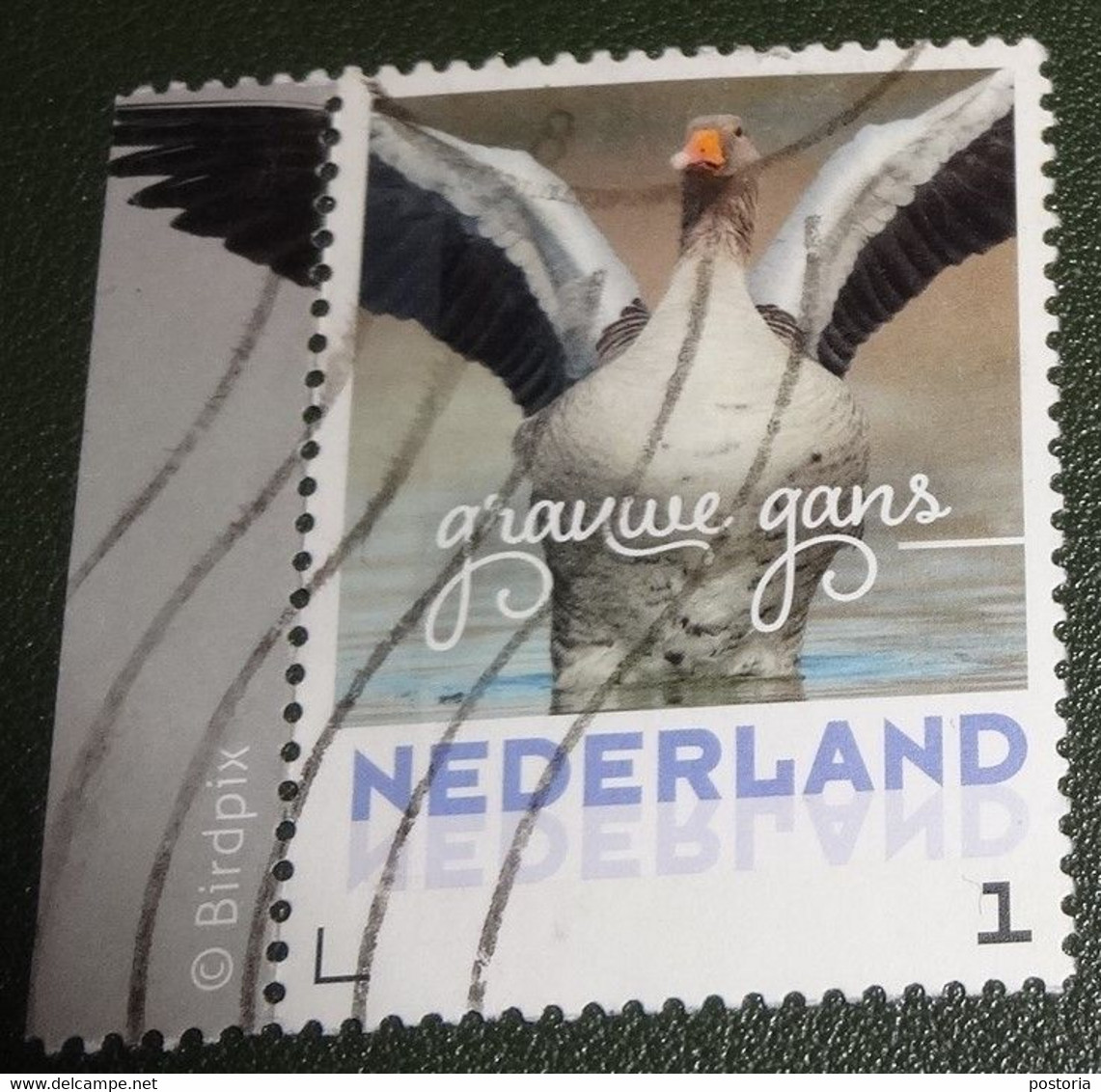 Nederland - NVPH - 3013 - Vogels - 2017 - Persoonlijk Gebruikt - Cancelled - Grauwe Gans - Met Tab - Timbres Personnalisés