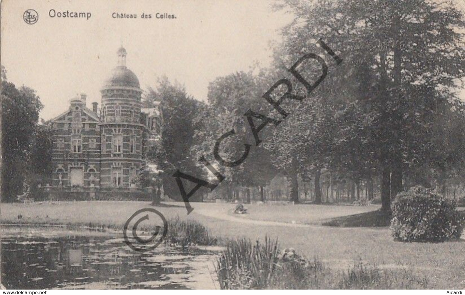 Carte Postale/Postkaart - OOSTKAMP - Château Des Celles  (A341) - Oostkamp