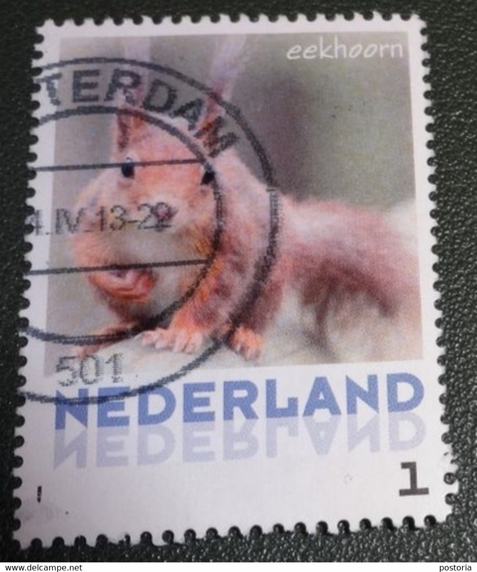 Nederland - NVPH - 3013-Aa-11 - Zoogdieren - 2013 - Persoonlijke Gebruikt - Eekhoorn - Personnalized Stamps