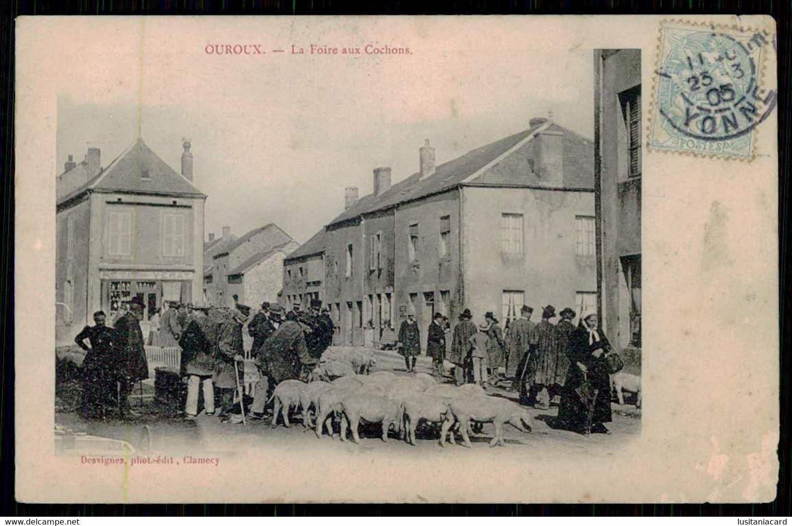 FRANCE - OUROUX - La Foire Aux Cochons.  ( Ed. Desvignes) Carte Postale - Fiere