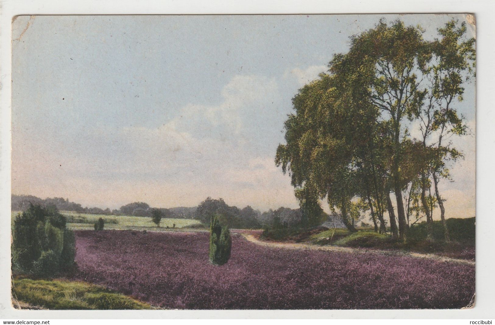 Lüneburger Heide, Landschaft Bei Wilsede - Lüneburger Heide