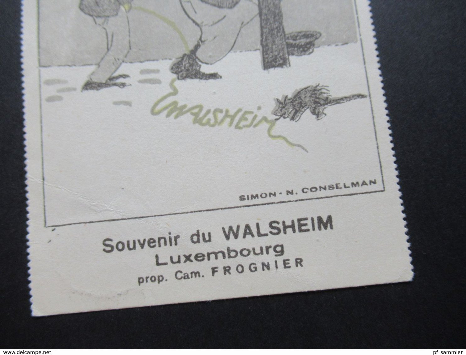 Luxemburg 1920er Jahre Künstlerkarte Karikatur / Spottkarte Souvenir Du Walsheim Simon N. Condelman Editeur Aug. Nimax - 1921-27 Charlotte Front Side