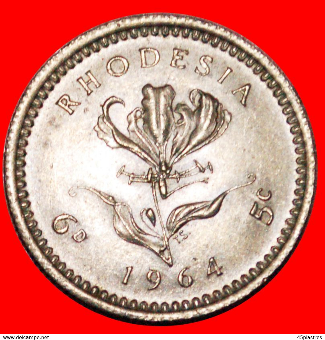 * GREAT BRITAIN DOUBLE DENOMINATION: RHODESIA ★ 6 PENCE - 5 CENTS 1964 MINT LUSTRE! LOW START ★ NO RESERVE! - Rhodesien