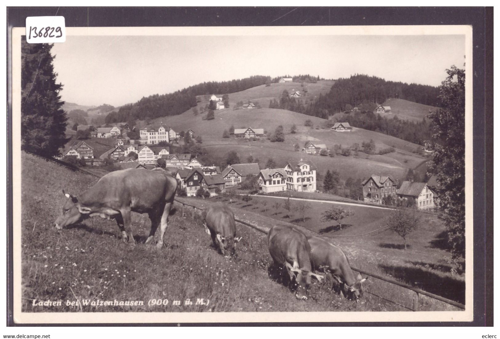 LACHEN BEI WALZENHAUSEN - TB - Walzenhausen