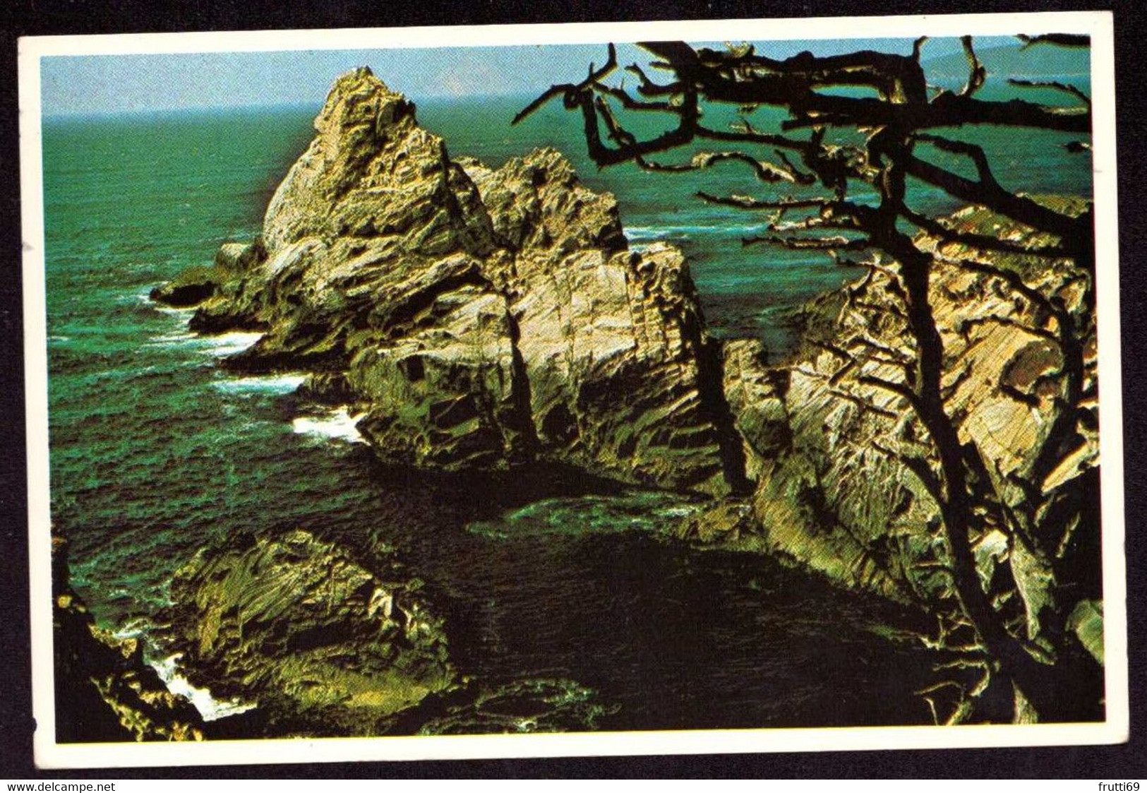 AK 07855 USA - California - Big Sur - Point Lobos - Big Sur