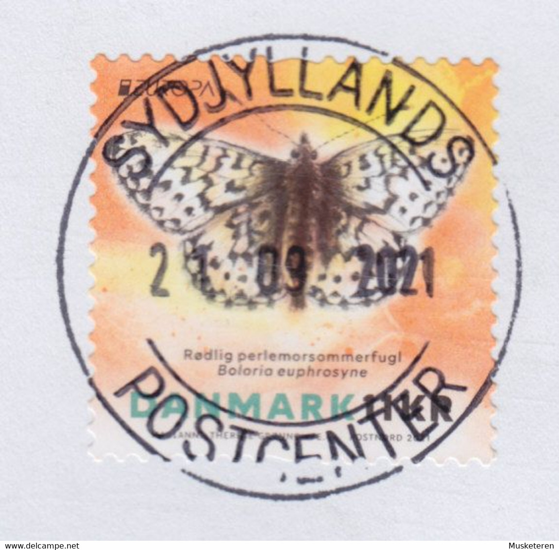 Denmark PRIORITAIRE Label DELUXE Cds. 2021 Cover Brief FREDERIKSHAVN Europa CEPT Butterfly Schmetterling Papillon - Lettres & Documents